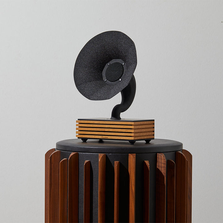 Acoustibox Oak Bluetooth Speaker