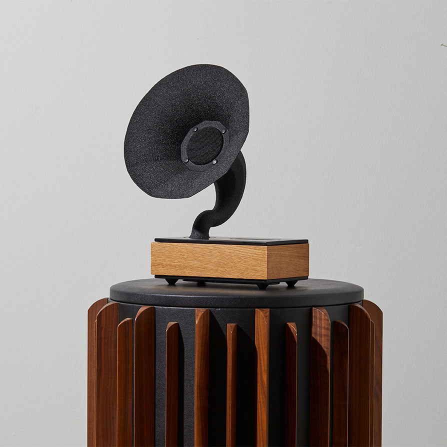Acoustibox Oak Acoustic Speaker