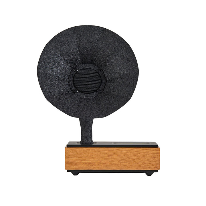 Acoustibox Oak Acoustic Speaker