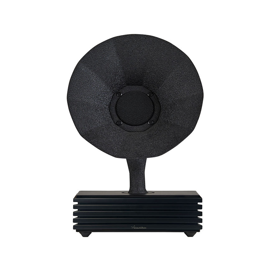 Acoustibox Pitch Black Bluetooth Speaker