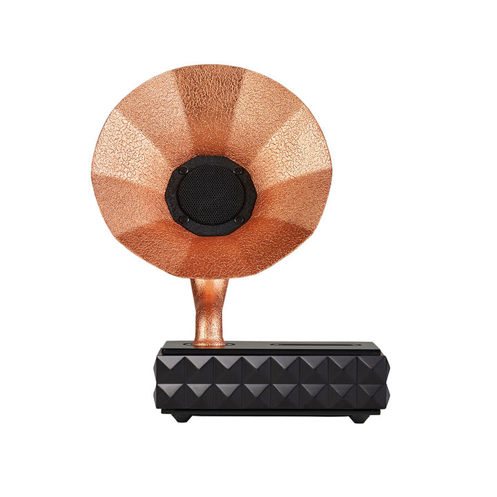 Acoustibox Rose Gold Acoustic Speaker