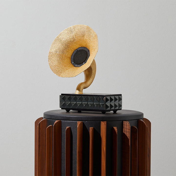 Acoustibox Solid Gold Acoustic Speaker
