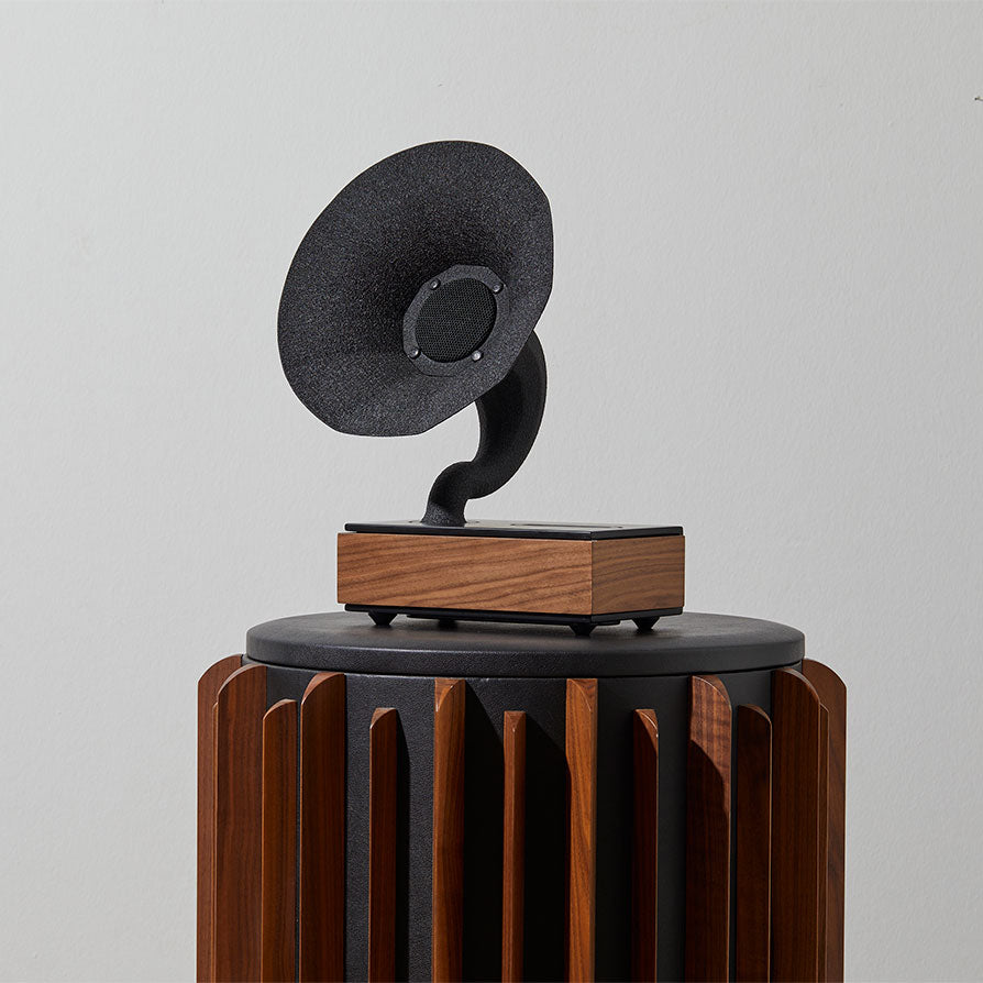Acoustibox Walnut Acoustic Speaker