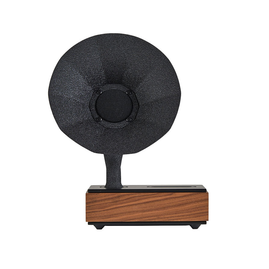 Acoustibox Walnut Acoustic Speaker